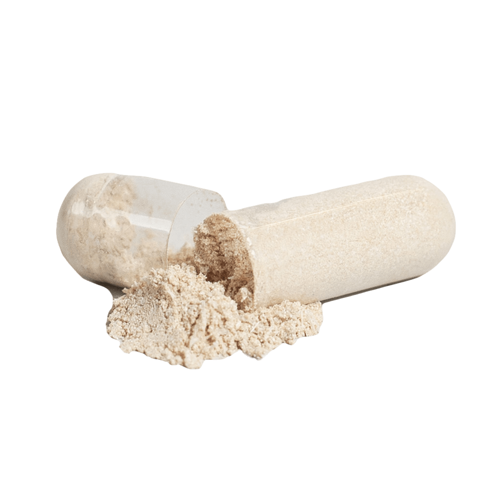 The Ultimate Multivitamin