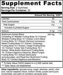Multi-Shroom Mix Gummies